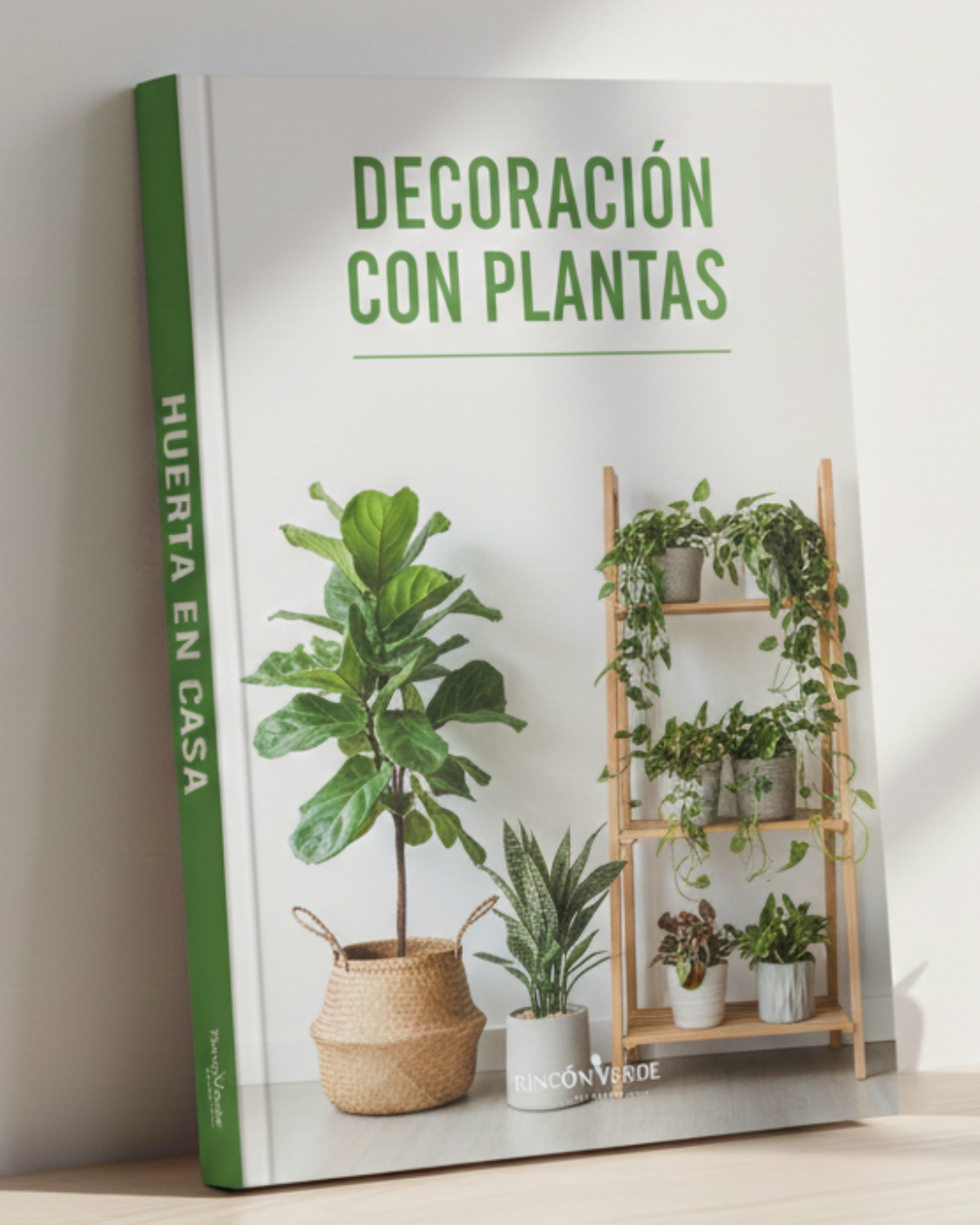 Decoración con Plantas