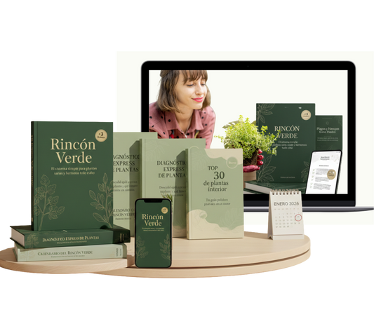 Ebook Rincón Verde: La guía para tus plantas